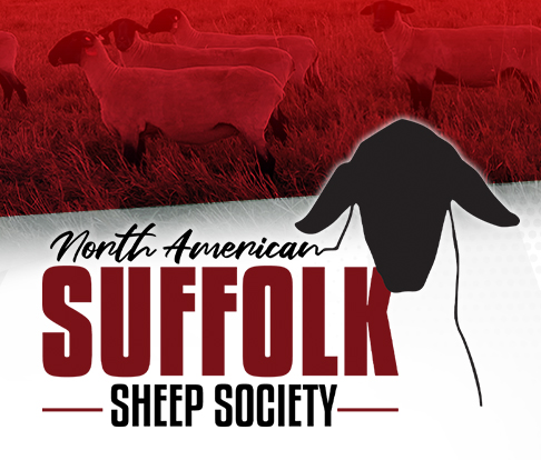 North American Suffolk Sheep Society